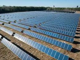 Ground Mounted Plants
